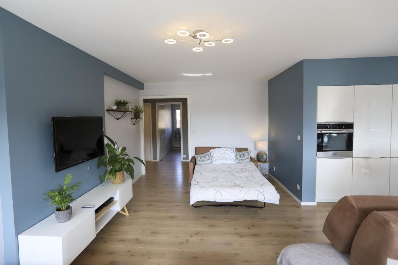 Azur Bleu 4 Etoiles Annecy Centre-Ville Et Lac Lumineux エクステリア 写真